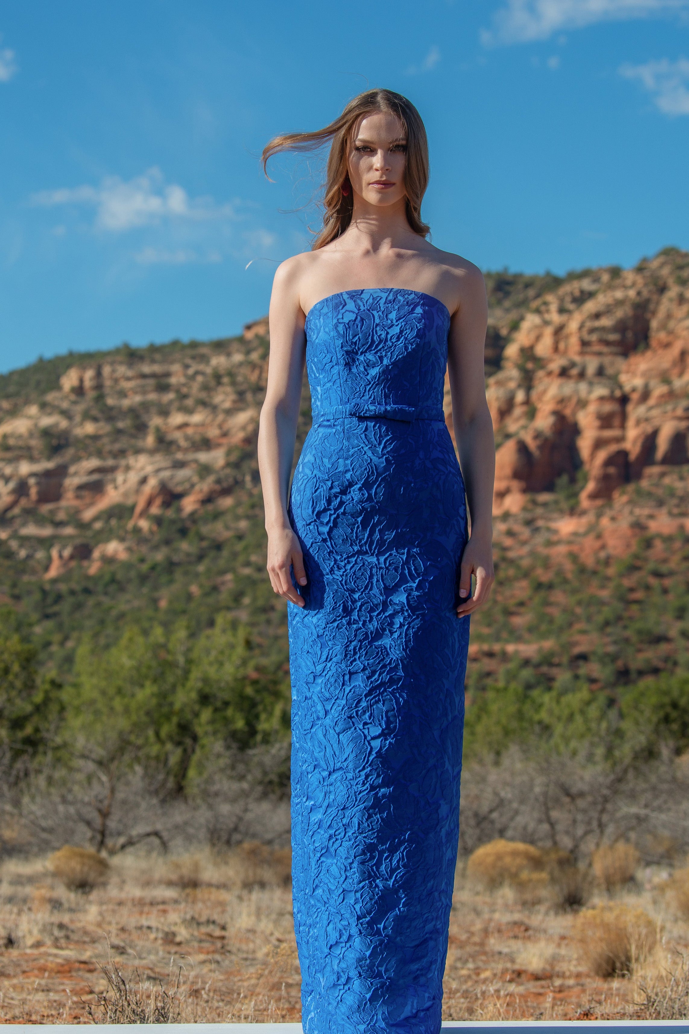 SOPHIA GOWN - MOONBEAM