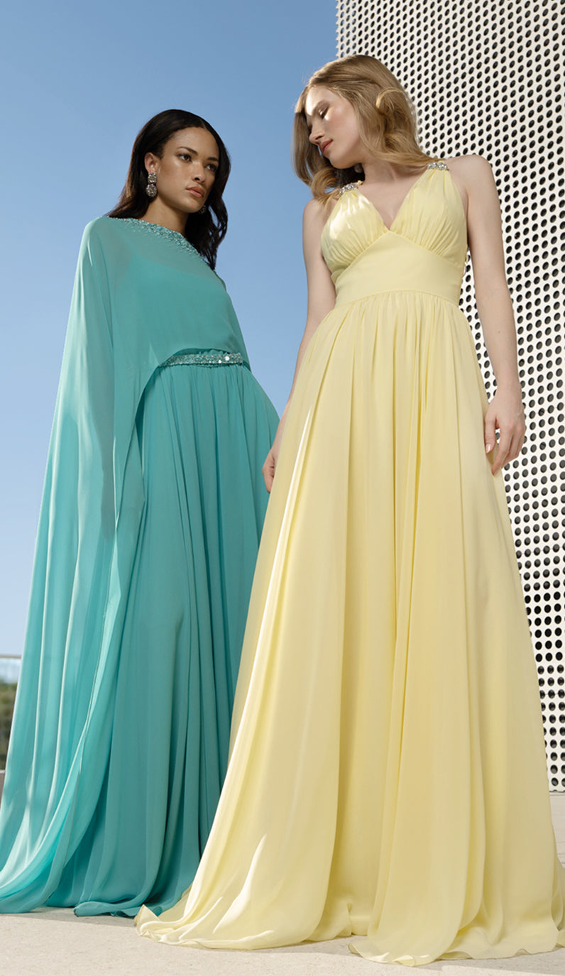 Affordable Formal Evening Dresses for Women  Terani Couture