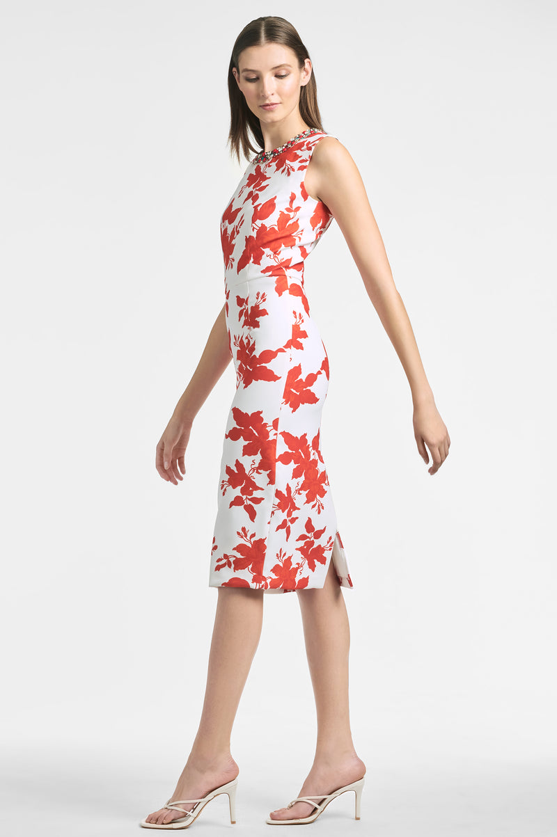Anna Dress - Coral Narcissus